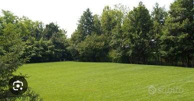 c. e. r. c. o.  prati per fare il fieno a breno 