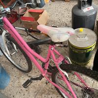 Bicicletta esselle mtb