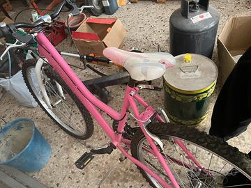 Bicicletta esselle mtb