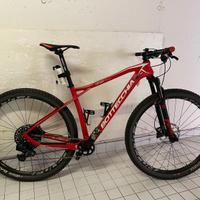 MTB Bottecchia Ortles 29+