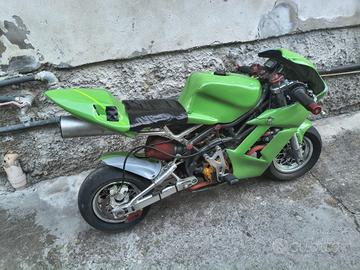minimoto Dr telaio 2013