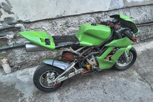 minimoto Dr telaio 2013