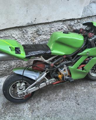 minimoto Dr telaio 2013