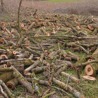 Terreno da poter coltivare pianeggiante