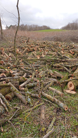 Terreno da poter coltivare pianeggiante