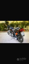 Suzuki iscritta FMI