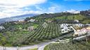 terreno-a-tortoreto