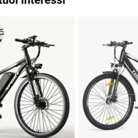 bicicletta elettrica 