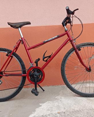 Biciclette MTB