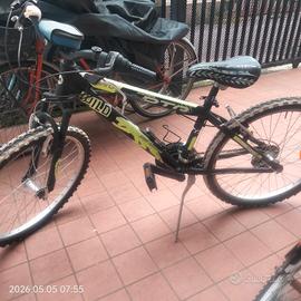bici raagazzo