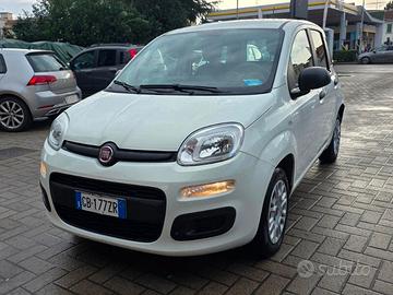 FIAT Panda 3ª serie Panda 1.2 Easy