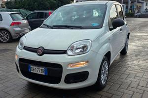 FIAT Panda 3ª serie Panda 1.2 Easy