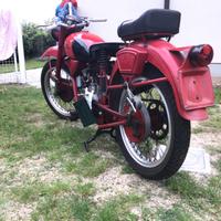 Moto Guzzi Altro modello - 1952