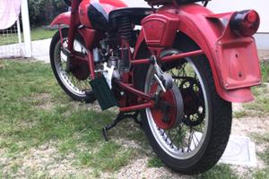 Moto Guzzi Altro modello - 1952