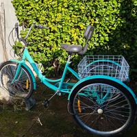 Triciclo, bici a tre ruote con cestino e copertura