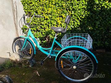 Triciclo, bici a tre ruote con cestino e copertura