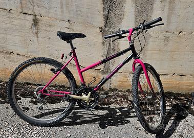 Bicicletta