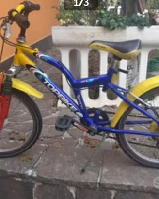 Mountain bike