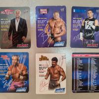 Cards collezionabili WWE versione 2004 Italia, 19 