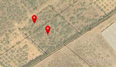 Sarroch terreno agricolo ed edificabili