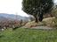 Immagine 29