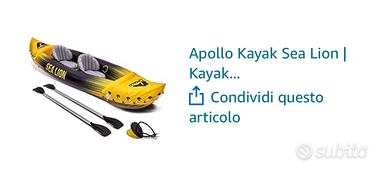 Kayak