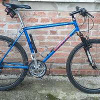 mtb acciaio m/L Wheeler