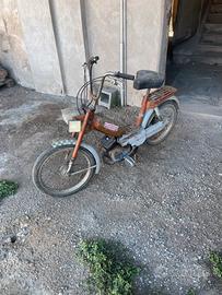 Garelli