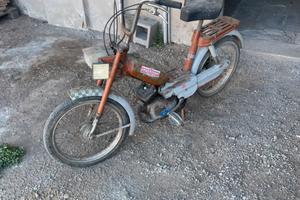 Garelli