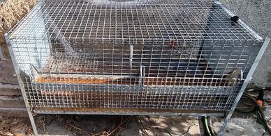 gabbia per.galline