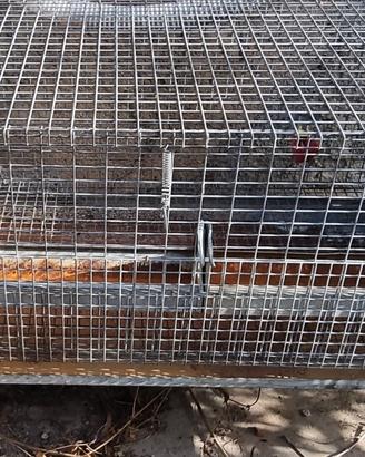 gabbia per.galline