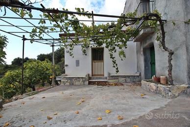 Casa di 155 mq. con 1 ettaro di Terreno Castelmola