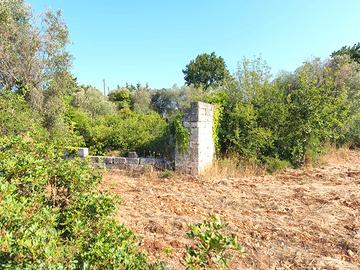 Terreno agricolo 4.700 m² con possibilità edificat