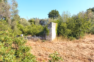 Terreno agricolo 4.700 m² con possibilità edificat