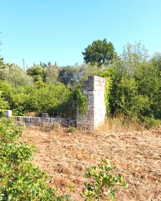 Terreno agricolo 4.700 m² con possibilità edificat