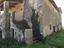 Immagine 12