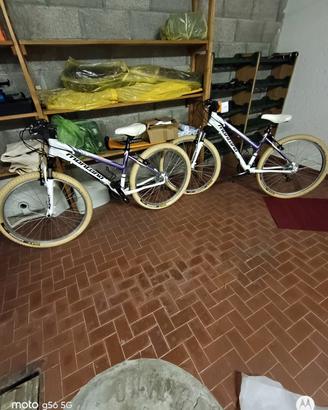Mountain bike donna  ( coppia )