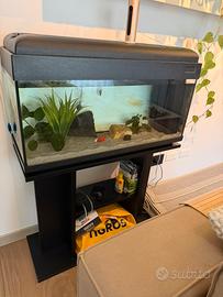 Acquario 80 lt com mobile