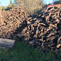 Legna Olivo per artigianato stufa camino forno