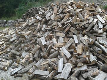 legna secca