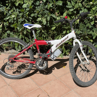 Bicicletta 24