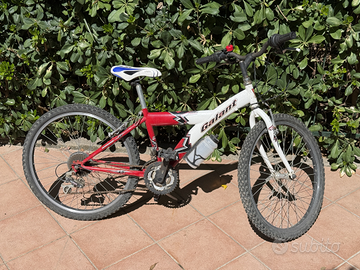 Bicicletta 24