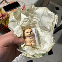 gattino thun bauli grandi firme 2026