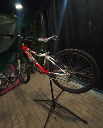 MTB bambino 