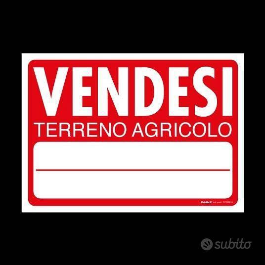 Terreno agric. a Vicopisano - Vista 2