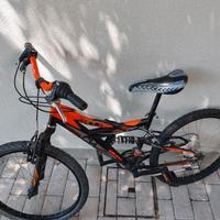 Mountain bike