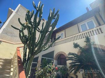 Mappet Bed & Breakfast