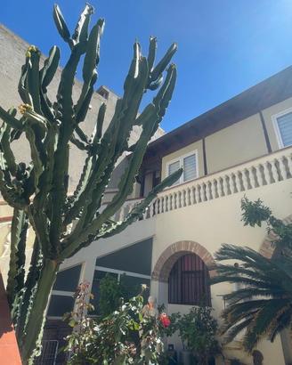 Mappet Bed & Breakfast