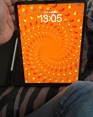 Ipad pro 12,9,terza generazione