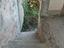 Immagine 17